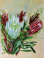 Birds And Floral - Banksias - Oils